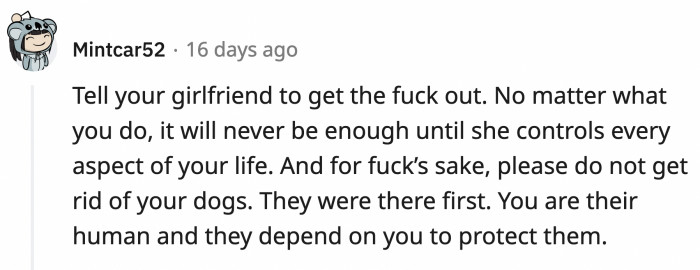 OP shouldn't even entertain any conversations about rehoming their dogs