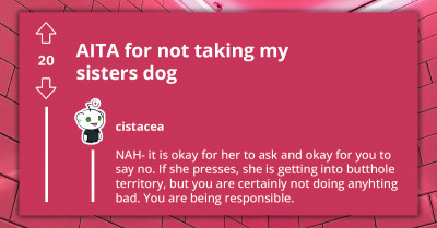 Redditor Adopts Dog Because They Are Tired Of Sister Changing Mind About Giving Them Her Dog