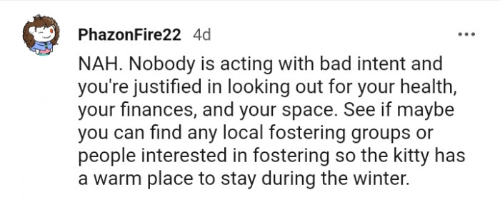 Finding the kitty a place to stay for the winter