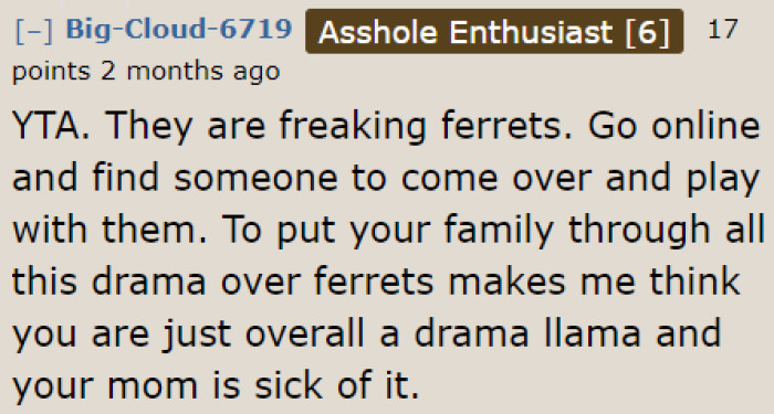The OP caused unnecessary drama because they insisted on bringing their ferret with them after their mom decided to drop the whole thing.