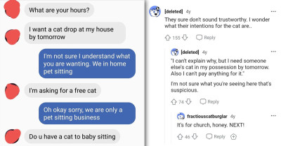 Redditor Shares Screenshot Of A Hilarious Conversation Between Pet Sitter And Someone Seeking To Get Free Cat