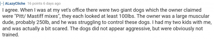 It's scary to go near these dogs.