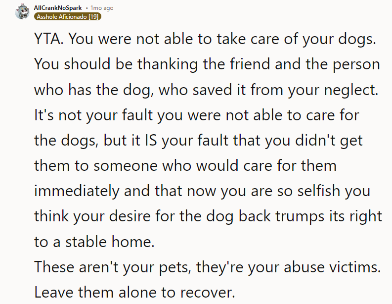 These aren't your pets; they're your abuse victims. Leave them alone to recover.