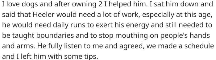 OP tried to help him with training the energetic dog.