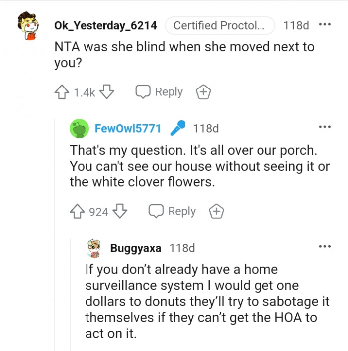 You can't see our house without seeing it