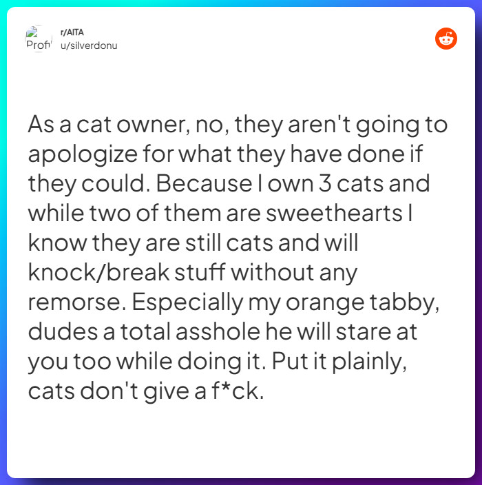 Comment from u/silverdonu