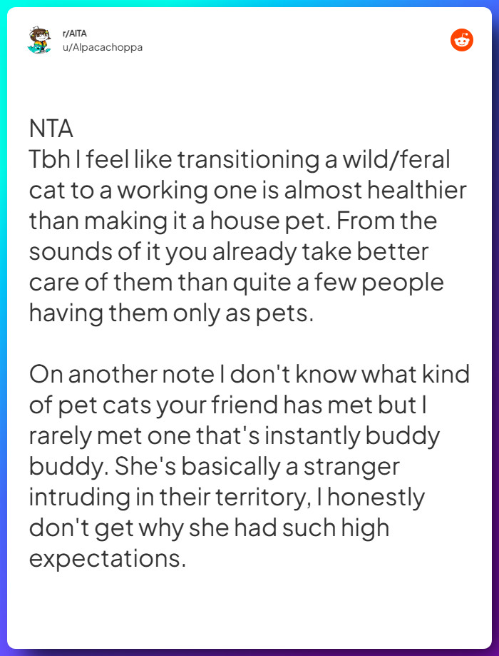 Comment from u/Alpacachoppa