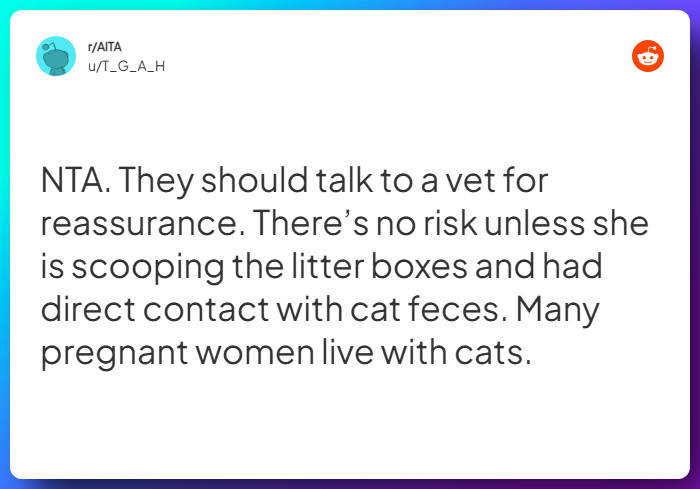 Comment from u/T_G_A_H