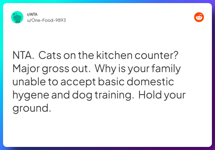 Comment from u/One-Food-9893