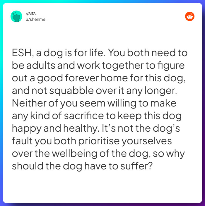 Comment from u/shenme_