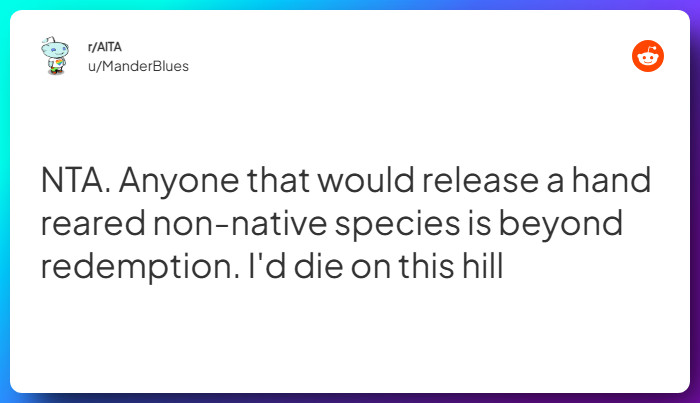 Comment from u/ManderBlues