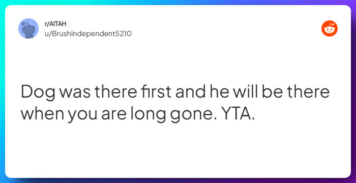 Comment from u/BrushIndependent5210
