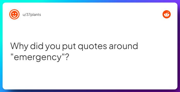 Comment from u/37plants