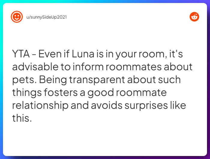 Comment from u/sunnySideUp2021