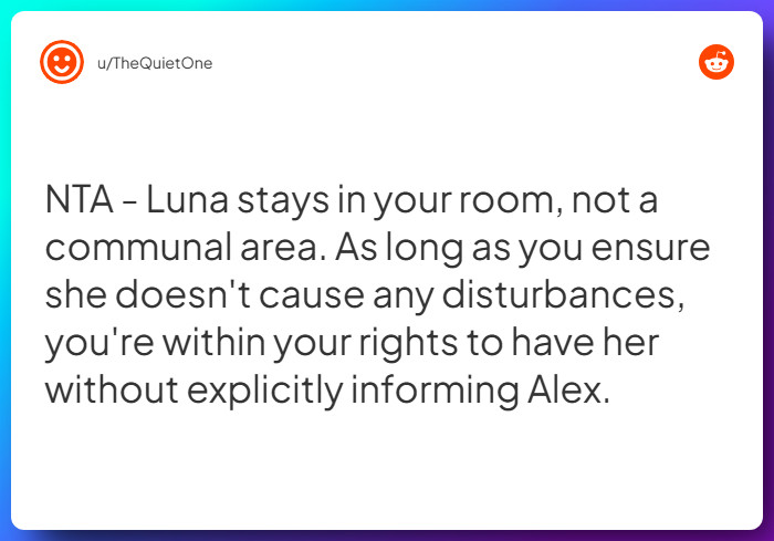 Comment from u/TheQuietOne