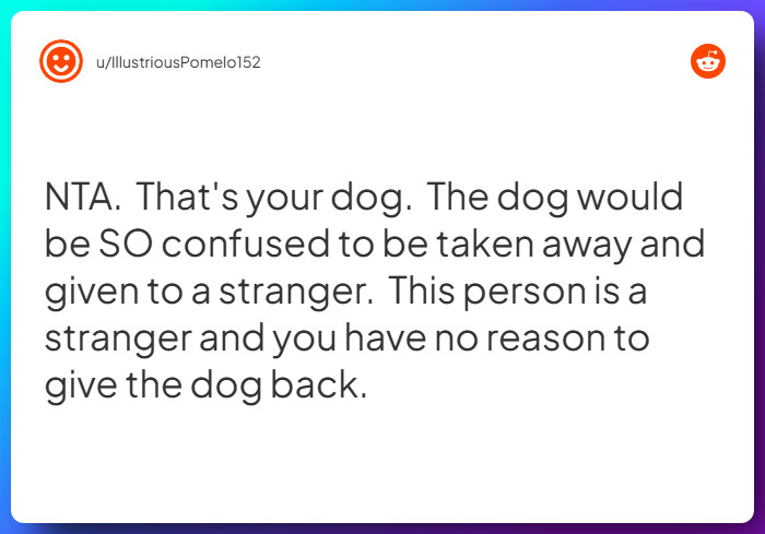 Comment from u/IllustriousPomelo152