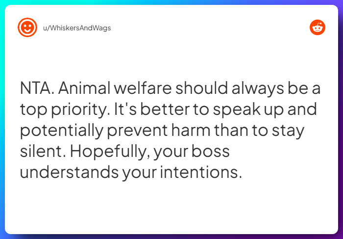 Comment from u/WhiskersAndWags