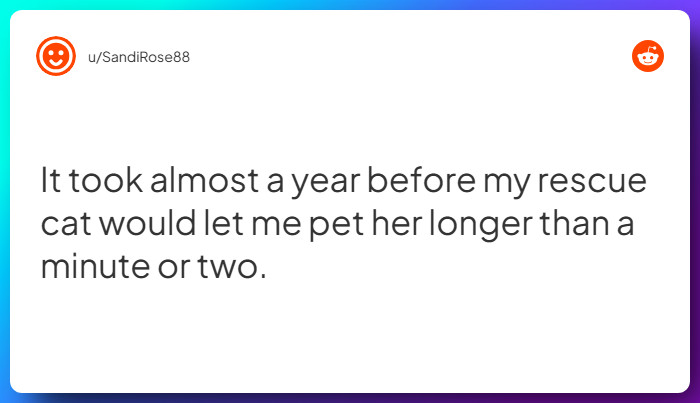 Comment from u/SandiRose88