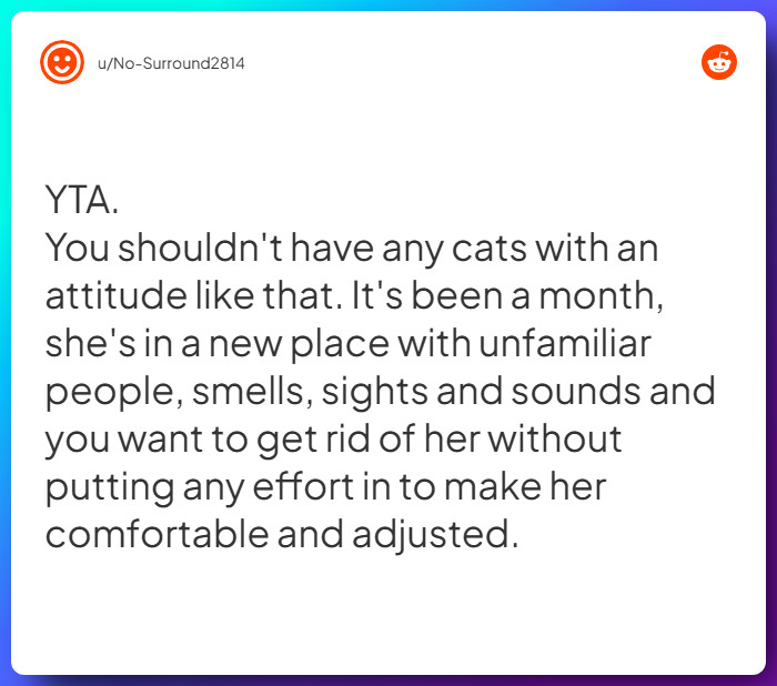 Comment from u/No-Surround2814