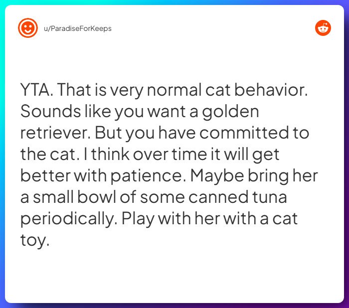 Comment from u/ParadiseForKeeps