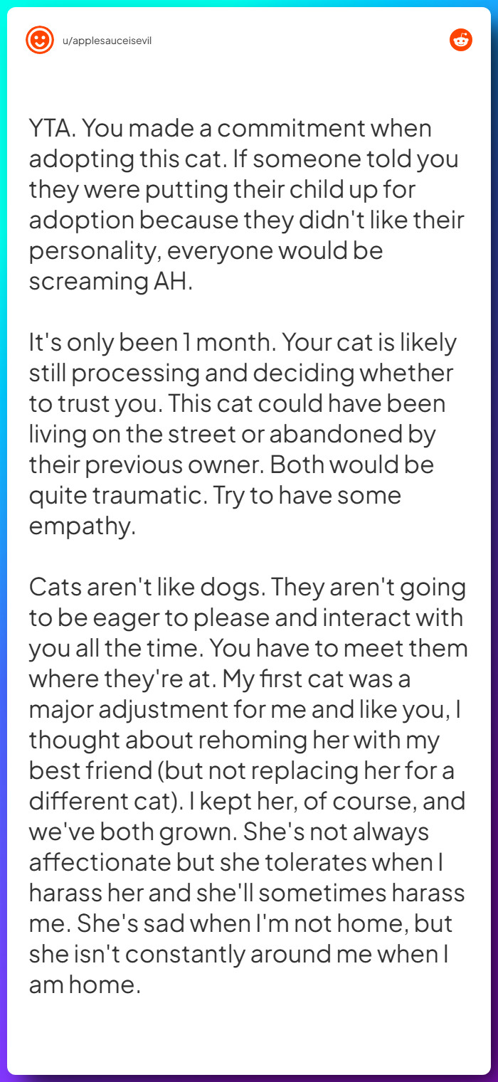 Comment from u/applesauceisevil