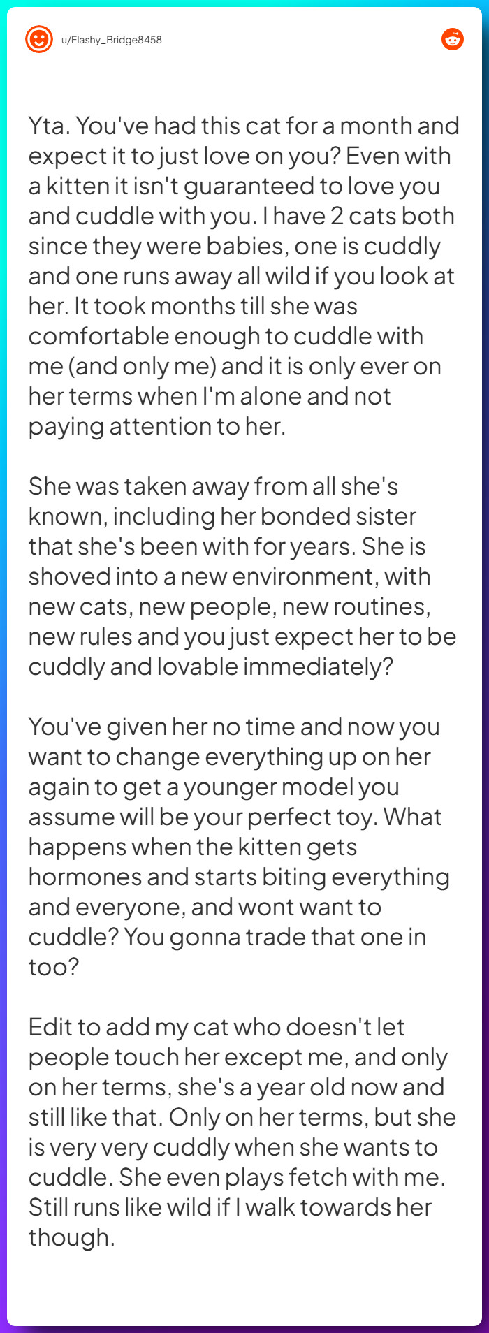 Comment from u/Flashy_Bridge8458