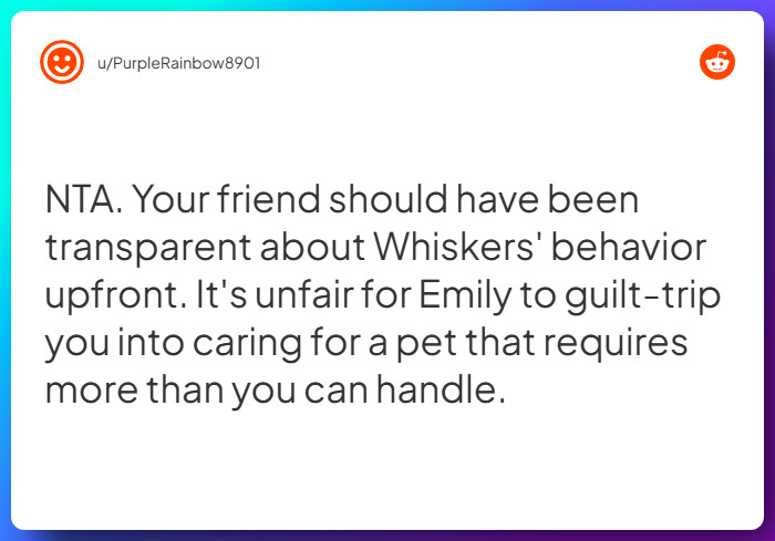 Comment from u/PurpleRainbow8901