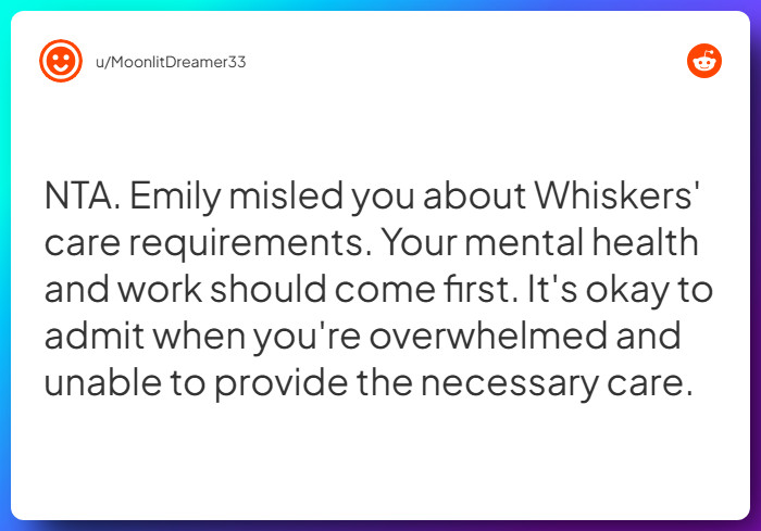 Comment from u/MoonlitDreamer33