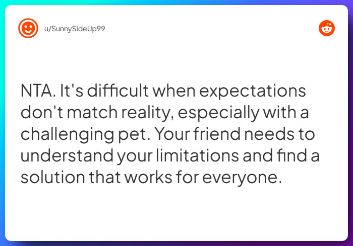 Comment from u/SunnySideUp99