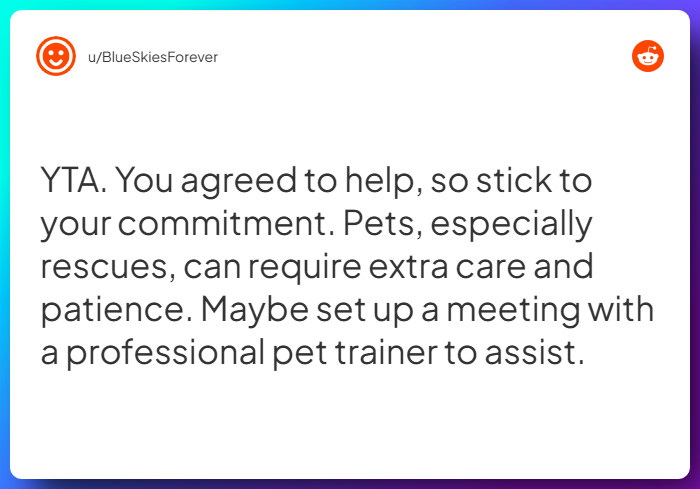 Comment from u/BlueSkiesForever