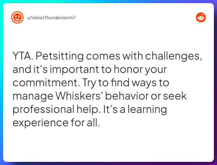 Comment from u/VelvetThunderstorm7