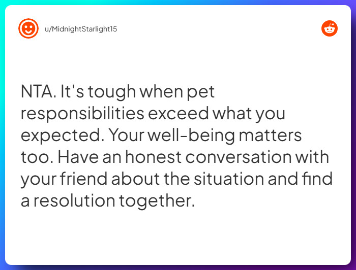 Comment from u/MidnightStarlight15