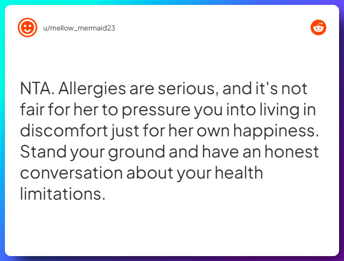 Comment from u/mellow_mermaid23