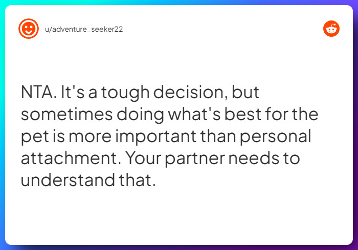 Comment from u/adventure_seeker22