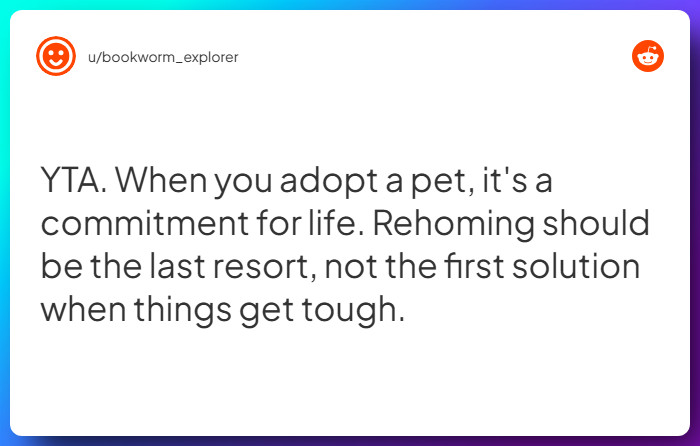 Comment from u/bookworm_explorer