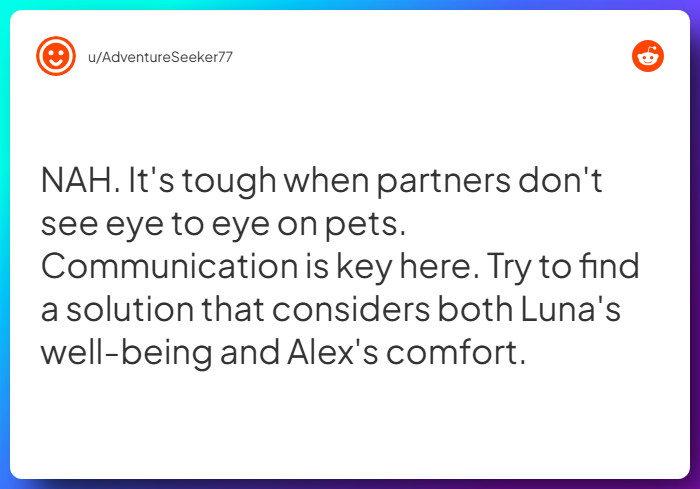 Comment from u/AdventureSeeker77