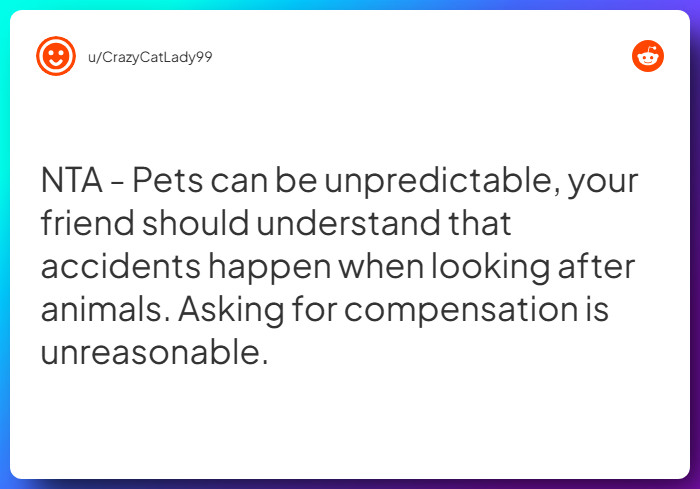 Comment from u/CrazyCatLady99