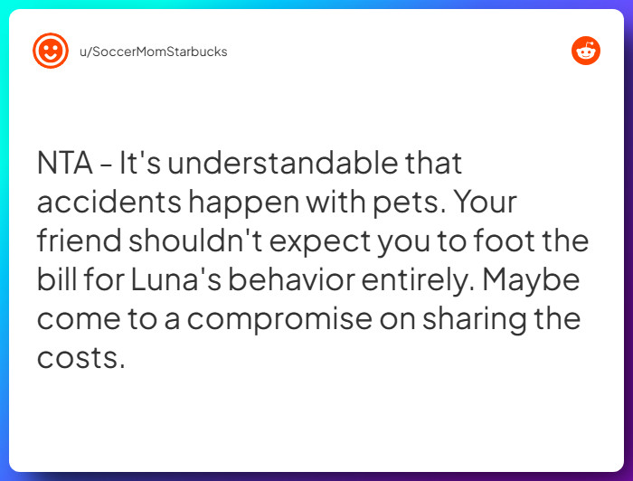 Comment from u/SoccerMomStarbucks