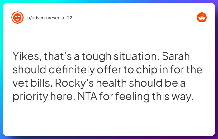 Comment from u/adventureseeker22