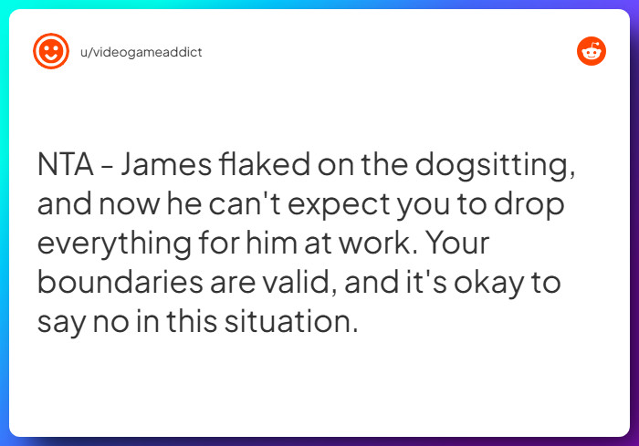 Comment from u/videogameaddict