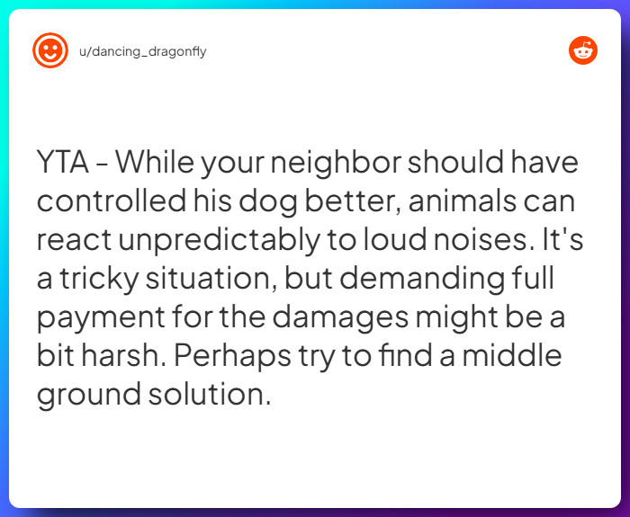 Comment from u/dancing_dragonfly