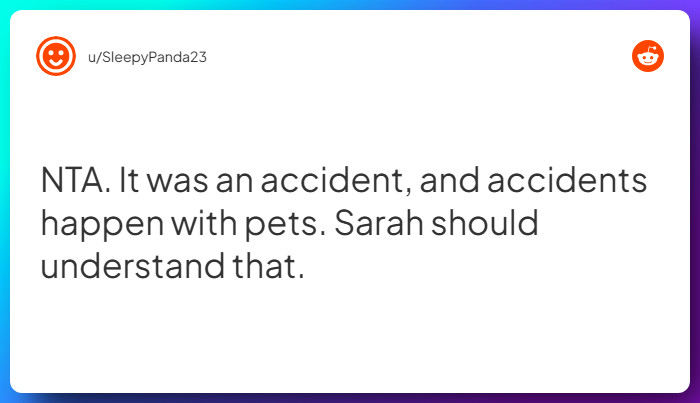 Comment from u/SleepyPanda23