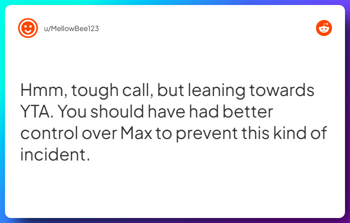 Comment from u/MellowBee123