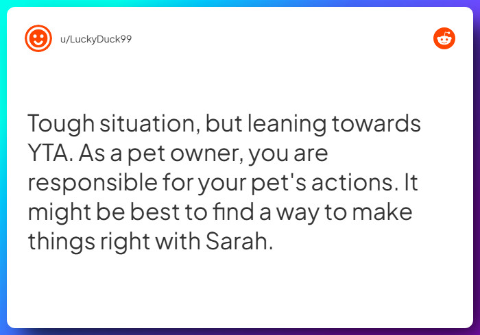 Comment from u/LuckyDuck99