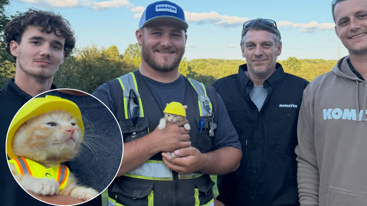 Ohio kitten rescued from excavator finds a home as a construction crew's shop cat