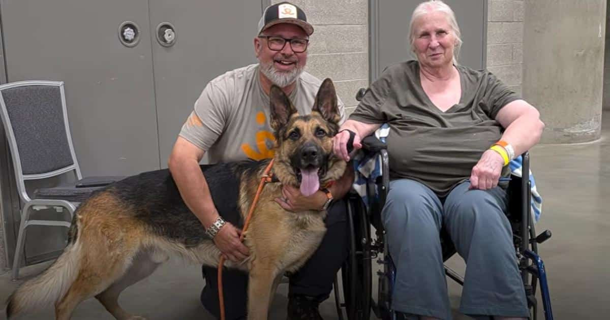 Shadow the German Shepherd Kept Slamming the Door. Then Donna Carberry Saw the Wildfire at Her House.
