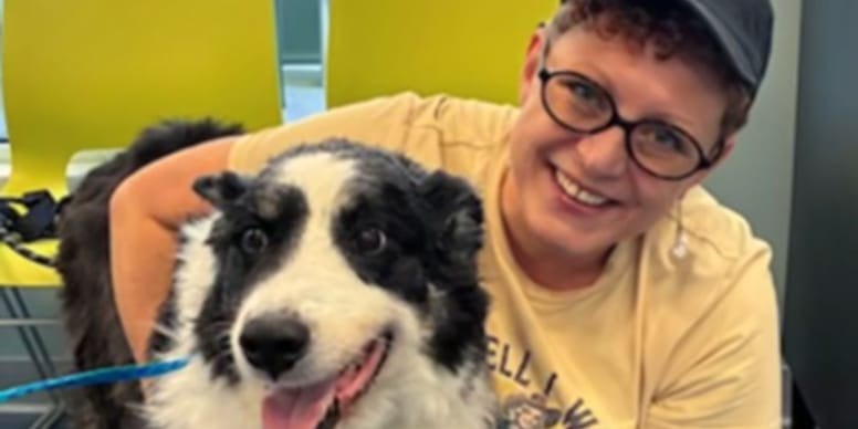 Missing Oklahoma Dog Rio Found 1,100 Miles Away in North Carolina and Reunited With Owner