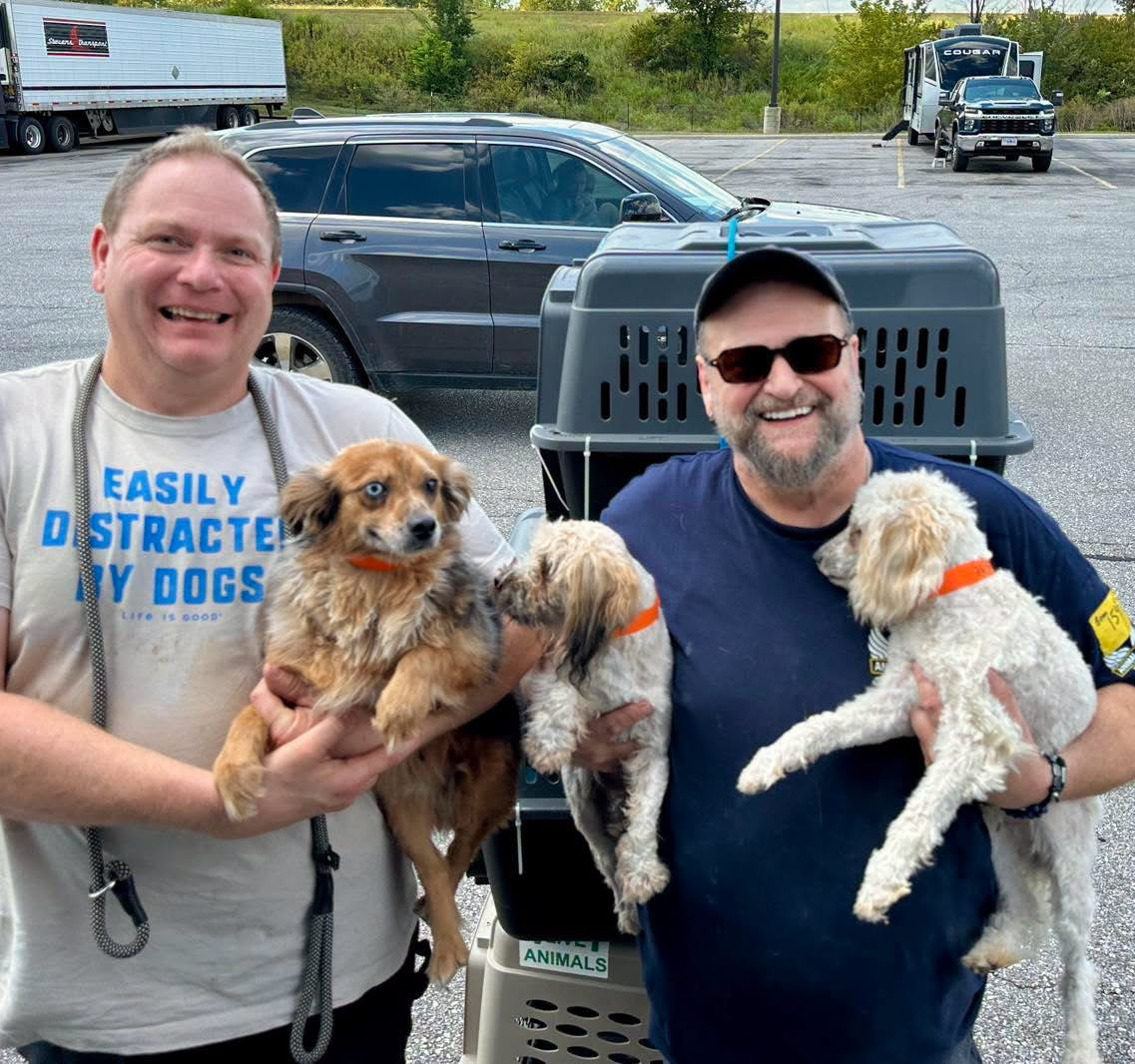 88 Animals From Missouri Breeding Operations Enter Care With Animal Rescue Corps