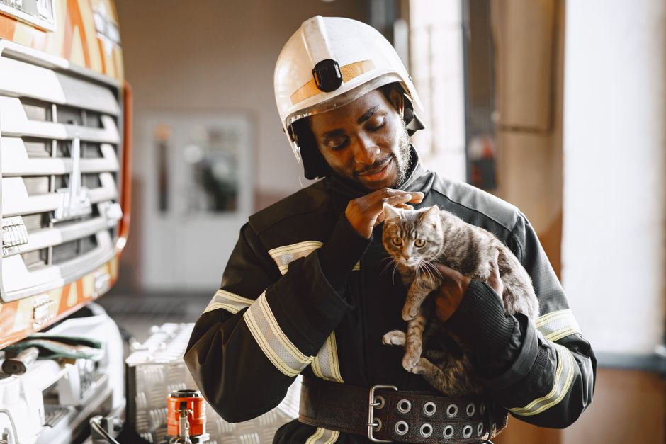 Phoenix Firefighters Rescue Cat From Central Phoenix House Fire and Reunite It With Owner