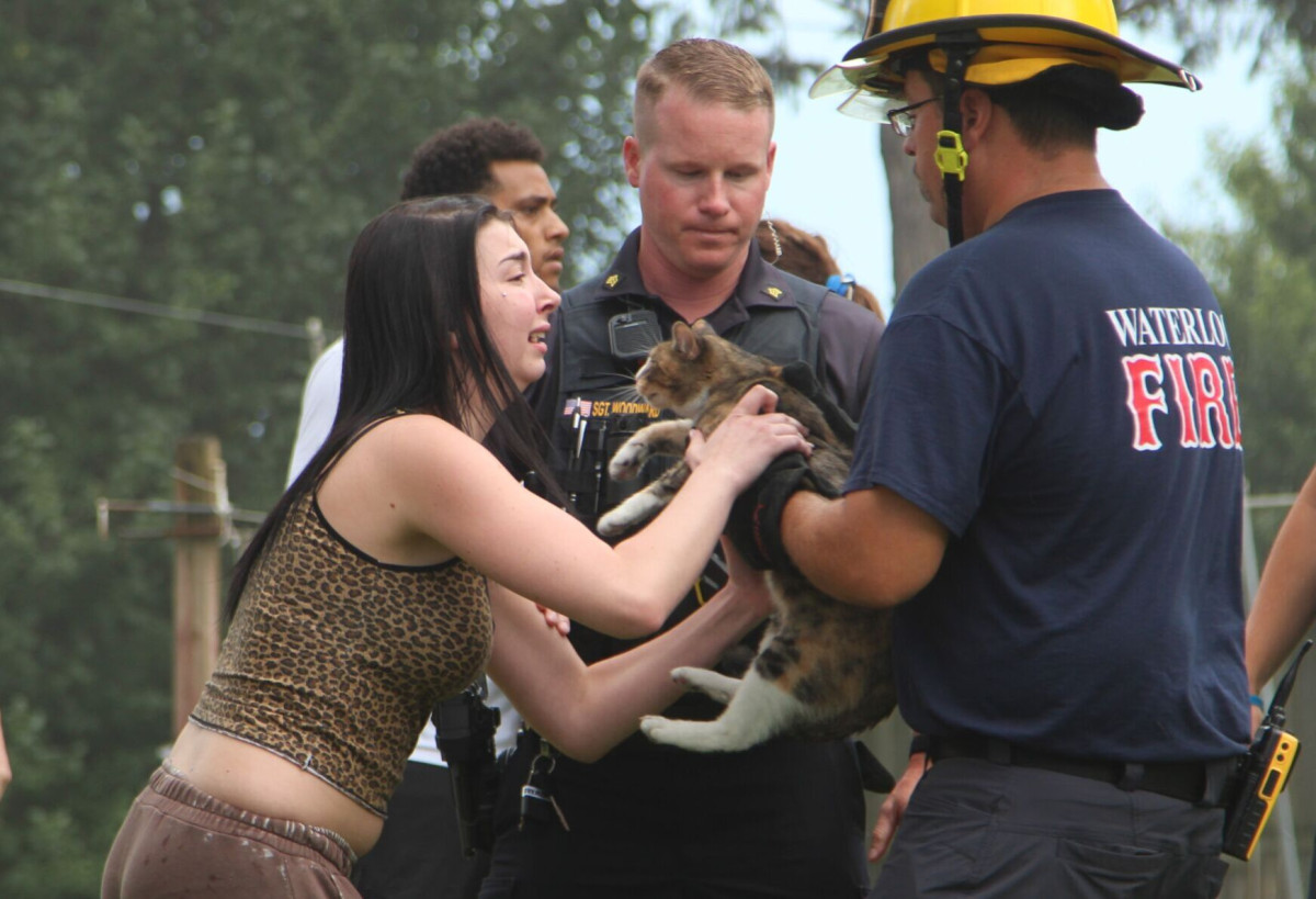 Puppies and Cat Rescued From Burning House